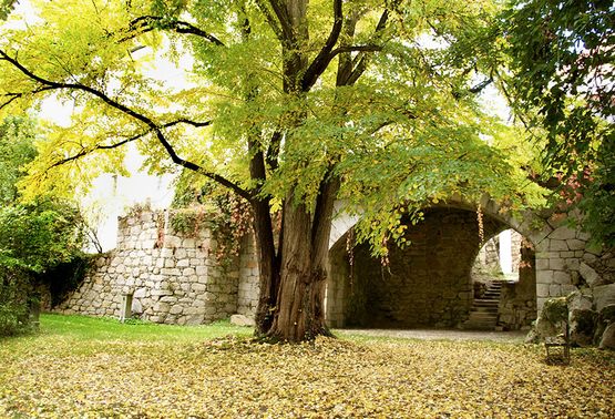 Heiraten im Schloss Hagenberg