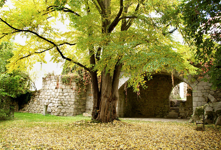 Heiraten im Schloss Hagenberg