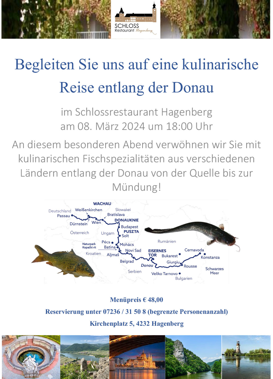 Plakat Donauschmaus